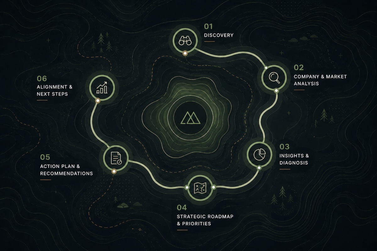 Holistic Company Audit roadmap example
